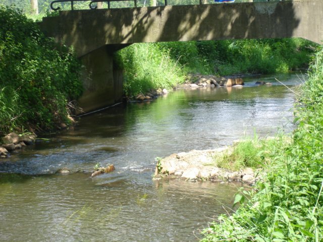 HWK 2009 138.jpg
